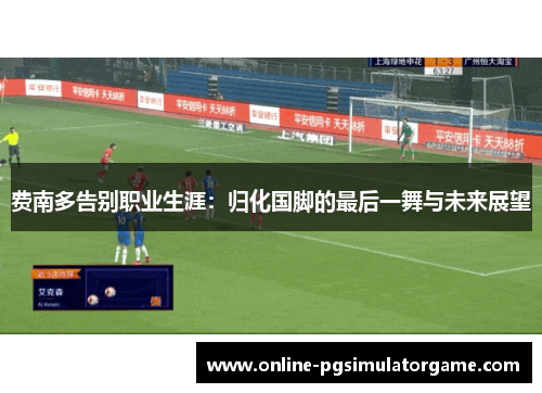 费南多告别职业生涯：归化国脚的最后一舞与未来展望