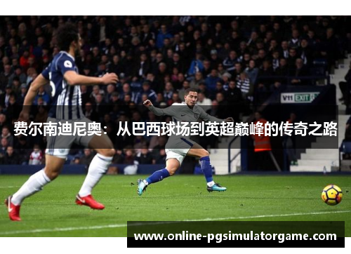 费尔南迪尼奥：从巴西球场到英超巅峰的传奇之路